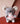 Peluche koala tutu